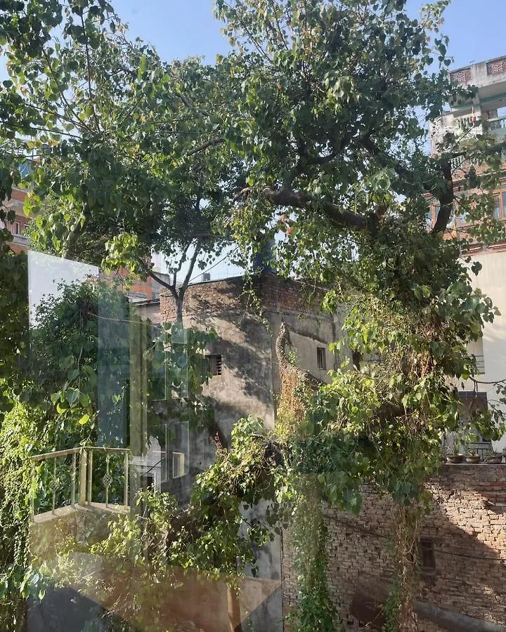 Rooftop Studio And 2Bhk Apartments In Kathmandu'S Most Happening Place